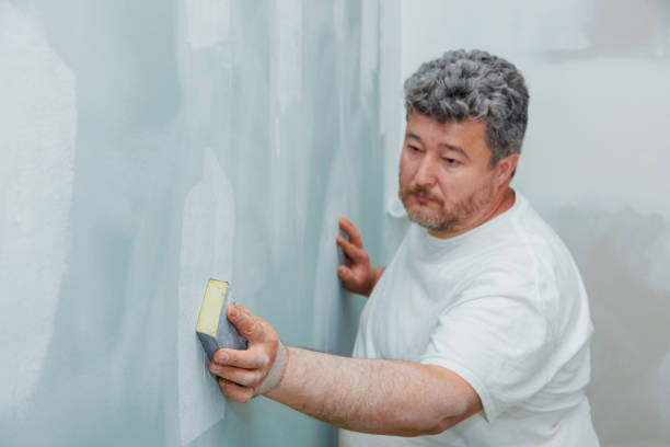 Best Water Damage & Mold Remediation  in Kekaha, HI