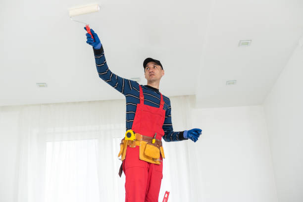 Best Mold Remediation for Vacation Homes  in Kekaha, HI