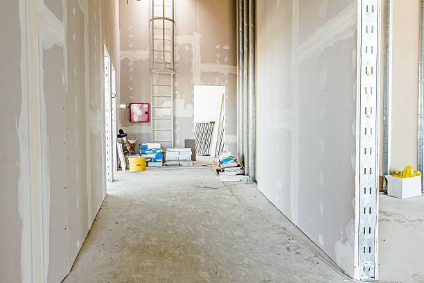 Best Emergency Mold Remediation  in Kekaha, HI
