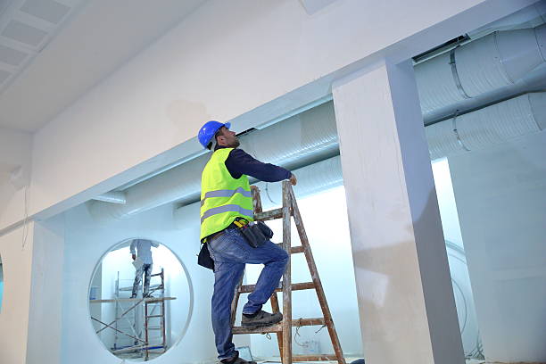 Best Environmental Consulting for Mold Prevention  in Kekaha, HI
